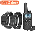 for 2 dogs black