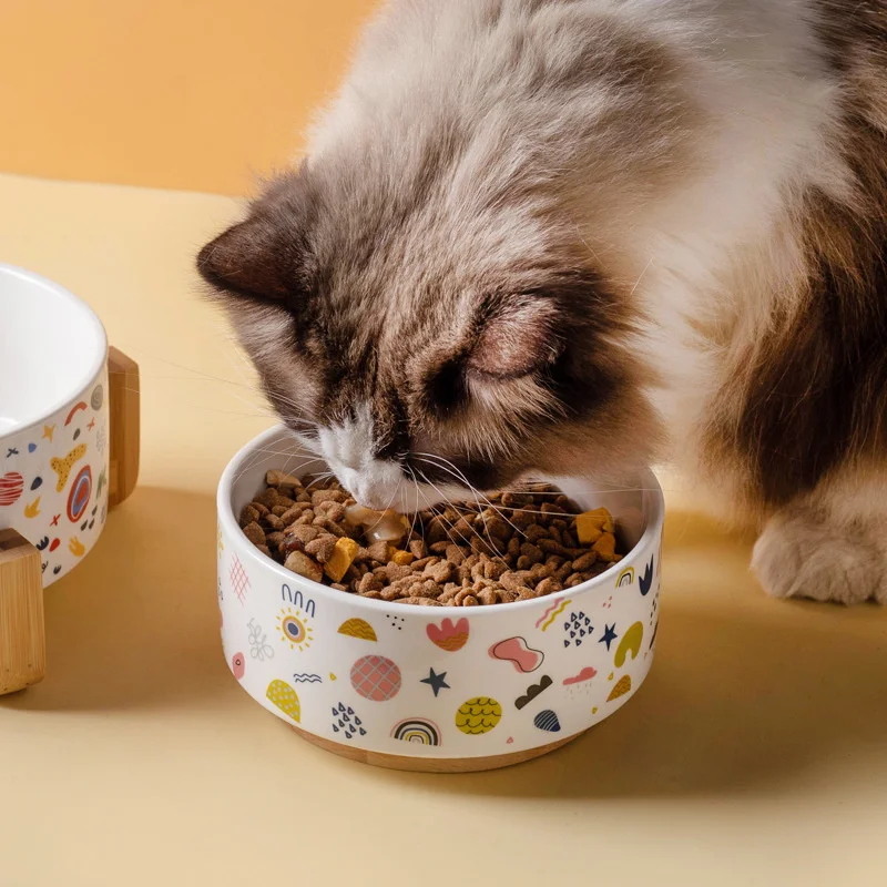 Cuenco de cerámica antideslizante para perros, cuenco para mascotas de 12-17CM de diámetro, comedero para gatos con soporte de madera, cuenco de comida para perros y gatos, suministros para perros - imagen 3