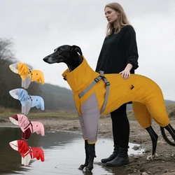 Chubasquero impermeable con capucha para perros pequeños - Exterior