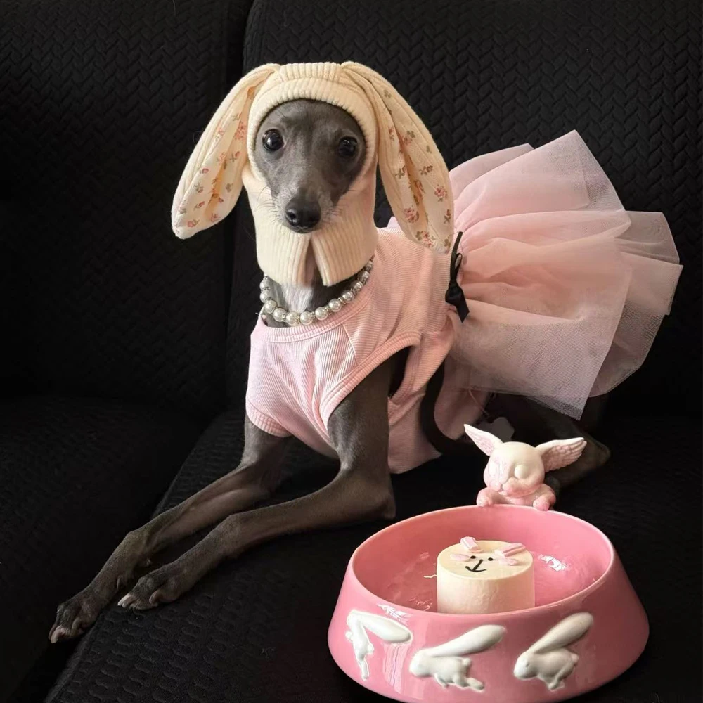 Vestido de encaje rosa para Galgo Italiano y Whippet – Primavera - imagen 3