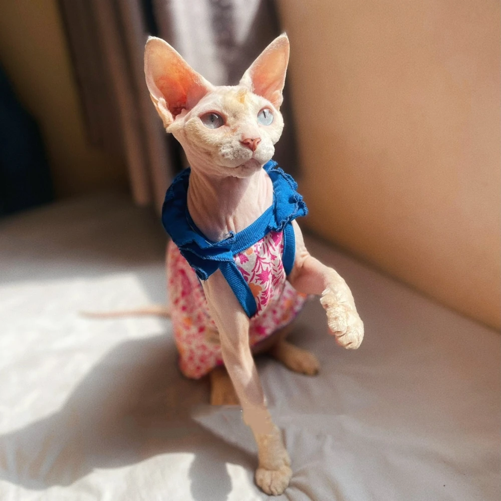 Vestido floral de algodón suave para Sphynx Cat Falda roja sin mangas para gatas Chaleco dulce para Devon Rex en primavera Suministros para gatos - imagen 3