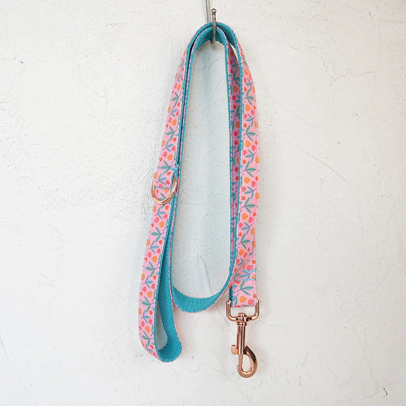 Collar de perro personalizado con grabado gratuito, correa para mascotas a juego, hebilla de Metal de contactos personalizados, Collar de huerto de Granada - imagen 3