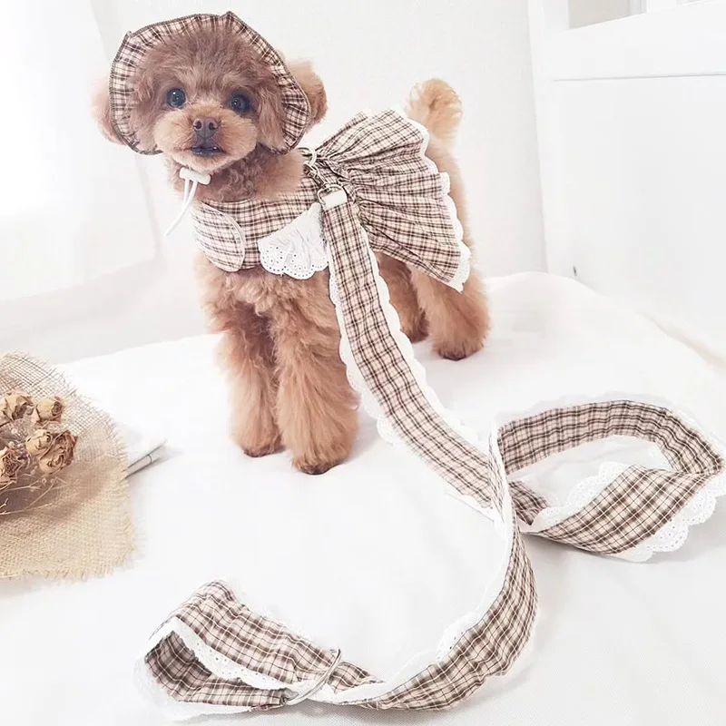 Conjunto de tracción a cuadros para mascotas, vestido con sombrero, princesa a cuadros, cumpleaños, caminar, salir de perros para fotos, conjunto de arnés y correa - imagen 4