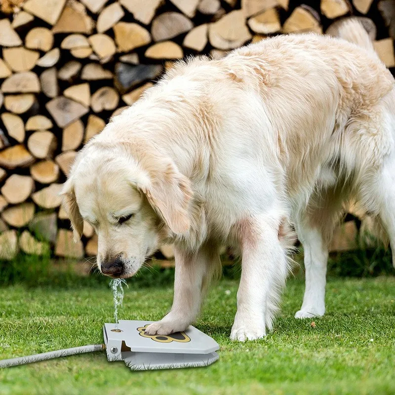 Bebedero automático con pedal para perros y gatos – Dispensador agua