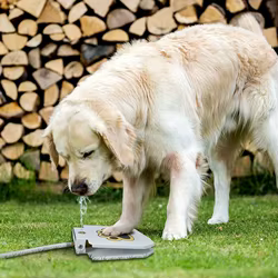 Bebedero automático con pedal para perros y gatos – Dispensador agua