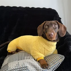 Abrigo de invierno para perros salchicha – Cálido y confortable