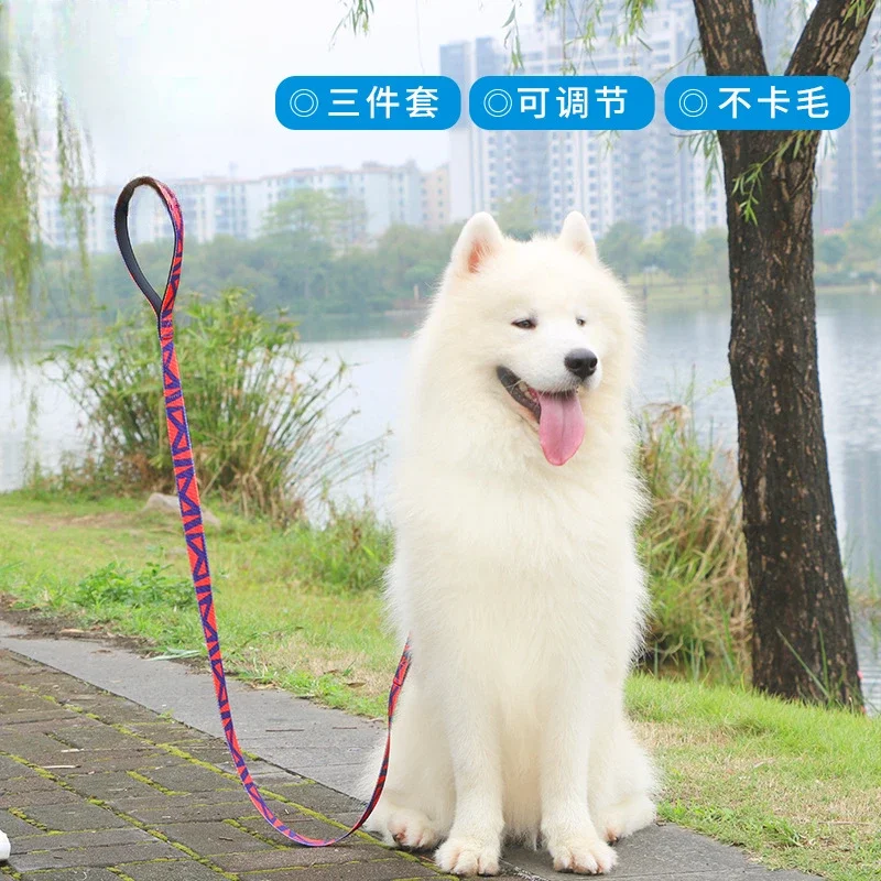 Correa para mascotas, correa para caminar para perros, Collar para perros medianos y pequeños, correa para el pecho - imagen 2