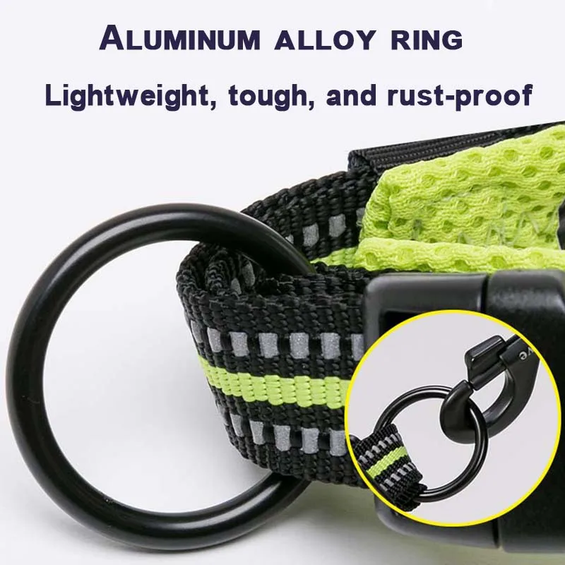 Winhyepet-Collar para caminar para perros, accesorio cómodo y acolchado con hebilla, de nailon, de viaje, táctico, disponible en 11 colores, talla XXS-XXXL - imagen 4