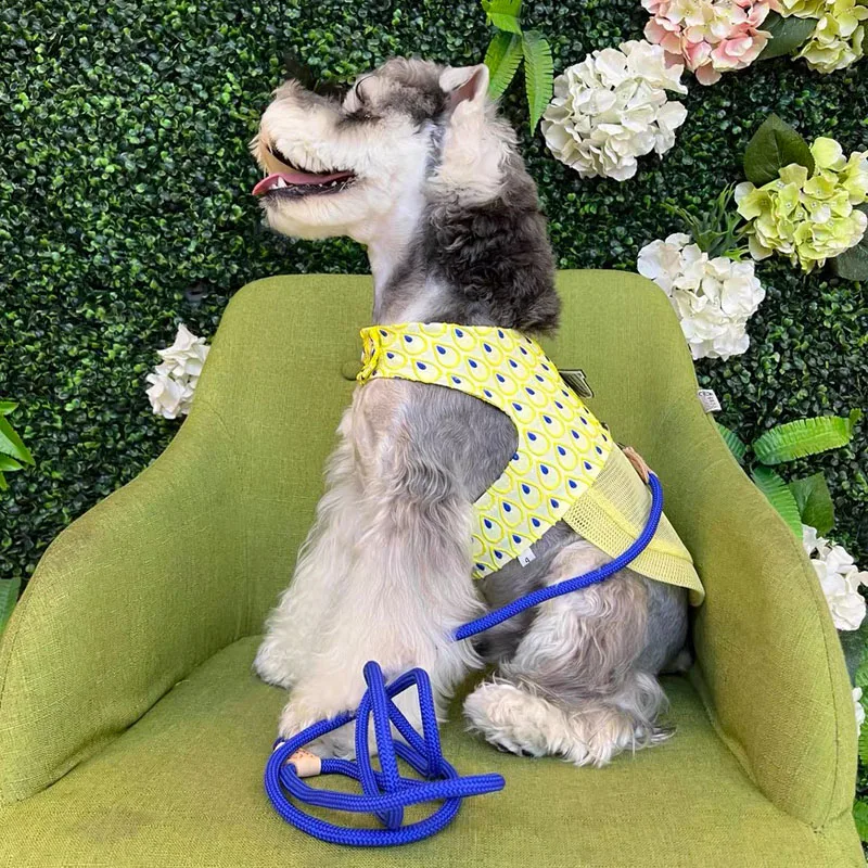 Conjunto de correa de arnés para perro de lujo, chaleco refrescante para perro de verano para Schnauzer maltés, arnés de malla transpirable ajustable para caminar al aire libre - imagen 2