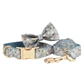 Bow Collar Leash Set
