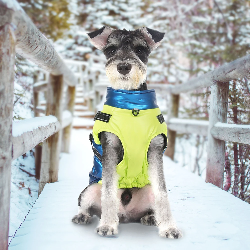 Chaqueta cálida de invierno para perros, ropa para mascotas con arnés, abrigo reflectante suave impermeable para cachorros, chaleco para perros pequeños, medianos y grandes, S-2XL Pug - imagen 5