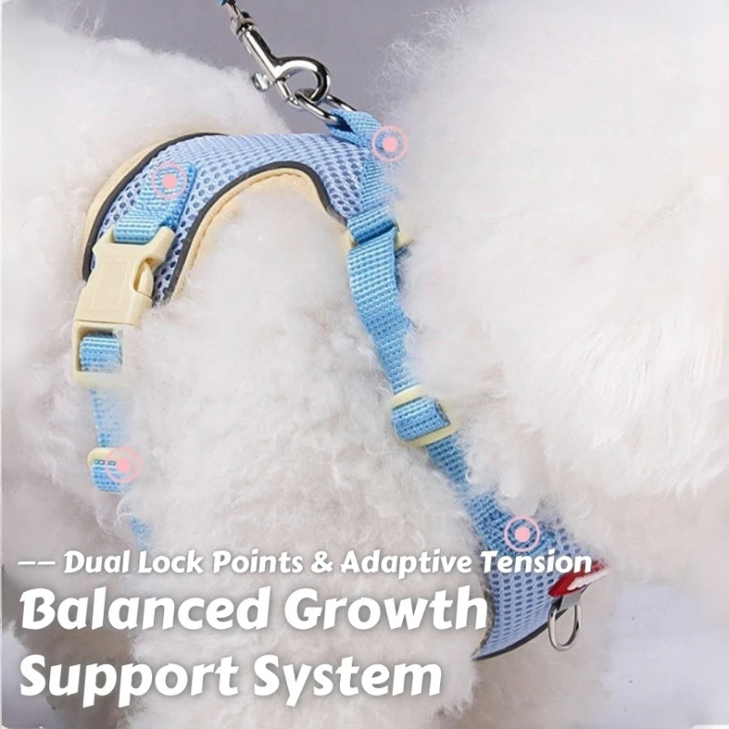 Arnés de verano para gatos y perros pequeños: chaleco resistente a la fuga con malla transpirable y correas de dos tonos para aventuras al aire libre - imagen 3