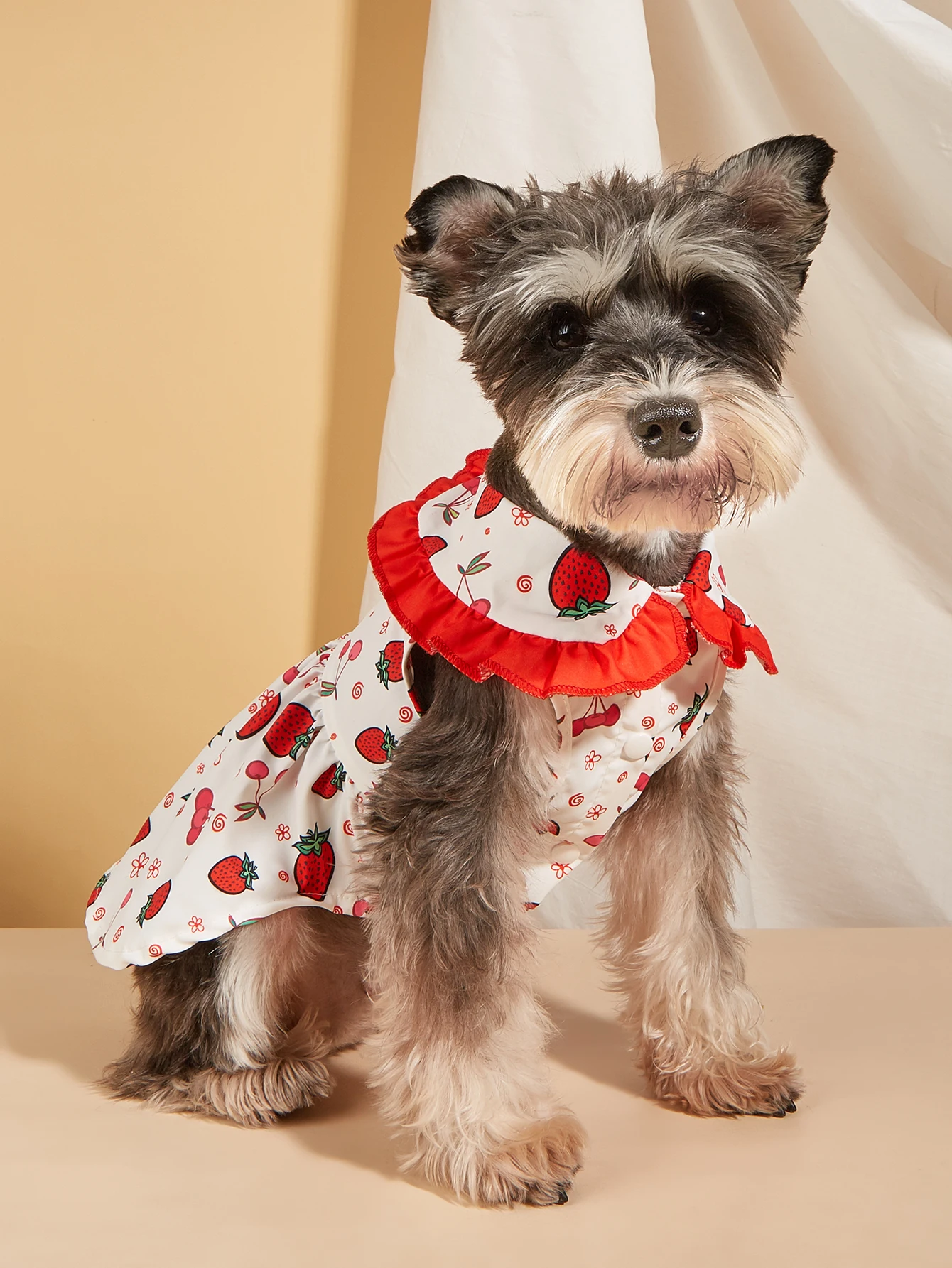 Vestido para perro estampado de fresa con cuello rojo con volantes, ropa para mascotas con bonito patrón de frutas, dulce vestido de princesa para perros pequeños - imagen 2
