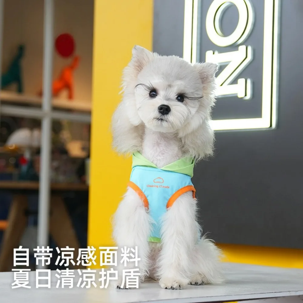 Chaleco fresco de primavera para mascotas, Top con capucha de Color contrastante, chaleco exterior de peluche para mascotas, ropa para cachorros pequeños - imagen 2