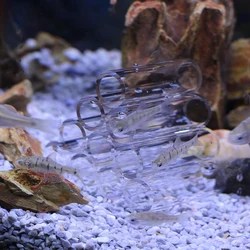 Tubo acrílico transparente para acuarios: escondite de camarones