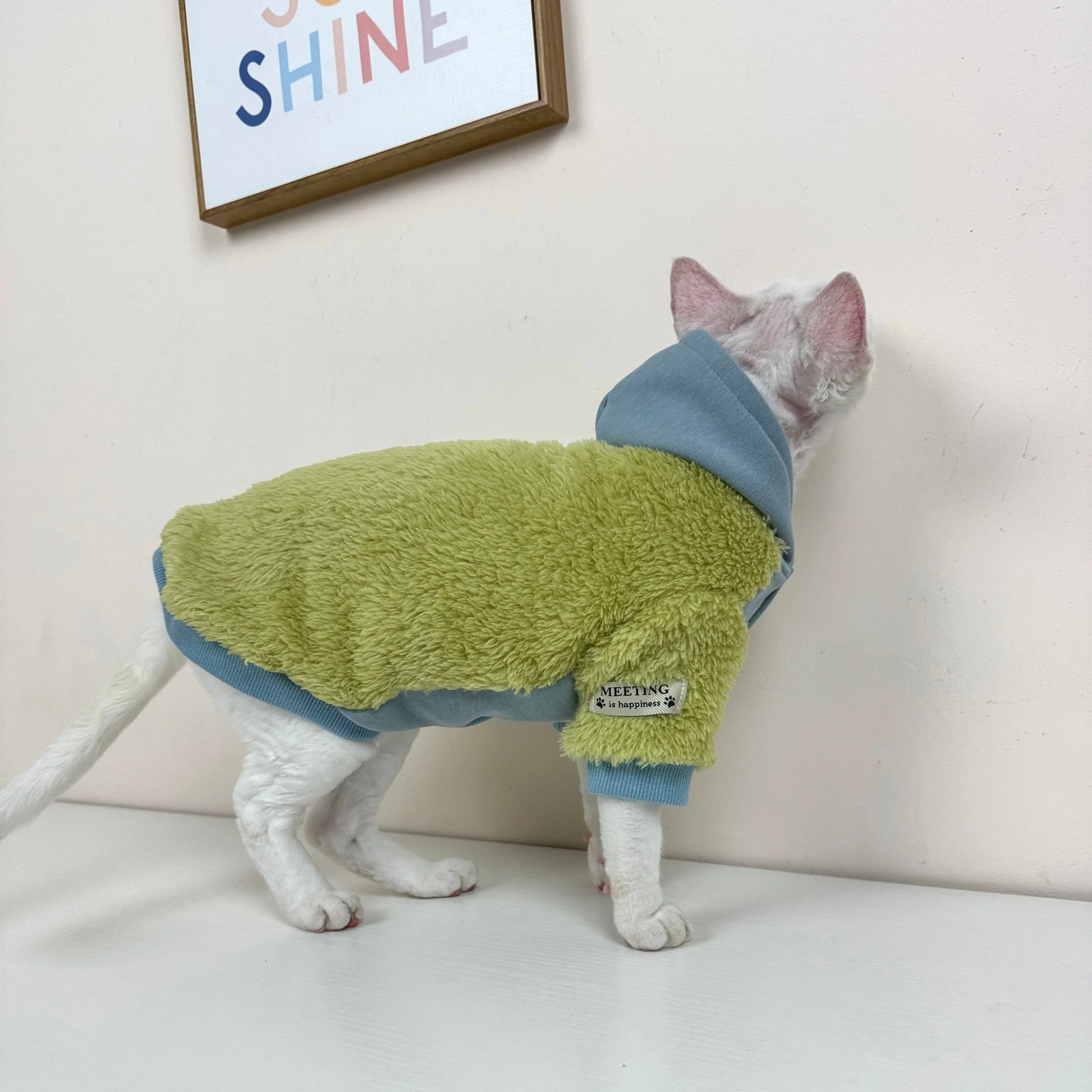 Cárdigan de forro polar grueso para gatos Sphynx invierno con capucha - imagen 5