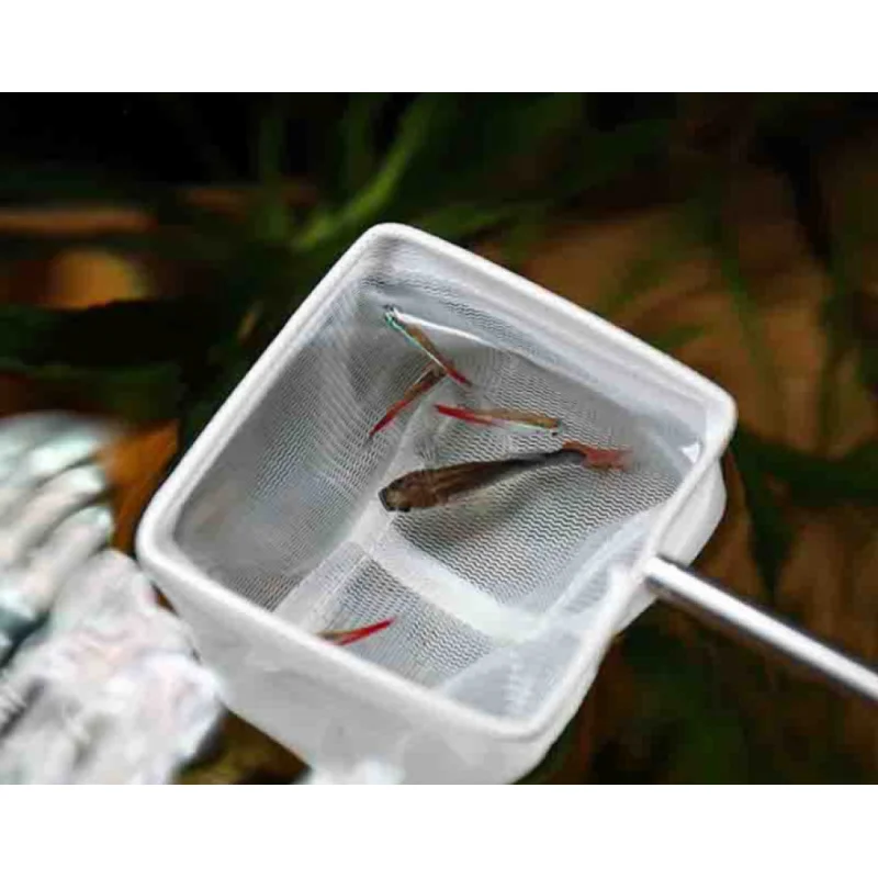 Square Fishing Net For Aquarium With Suction Cups, Retractable Fishing Equipment, With Long Handle, For Catching Fish And Shrimp - imagen 3