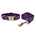 Dog Collar Leash Set