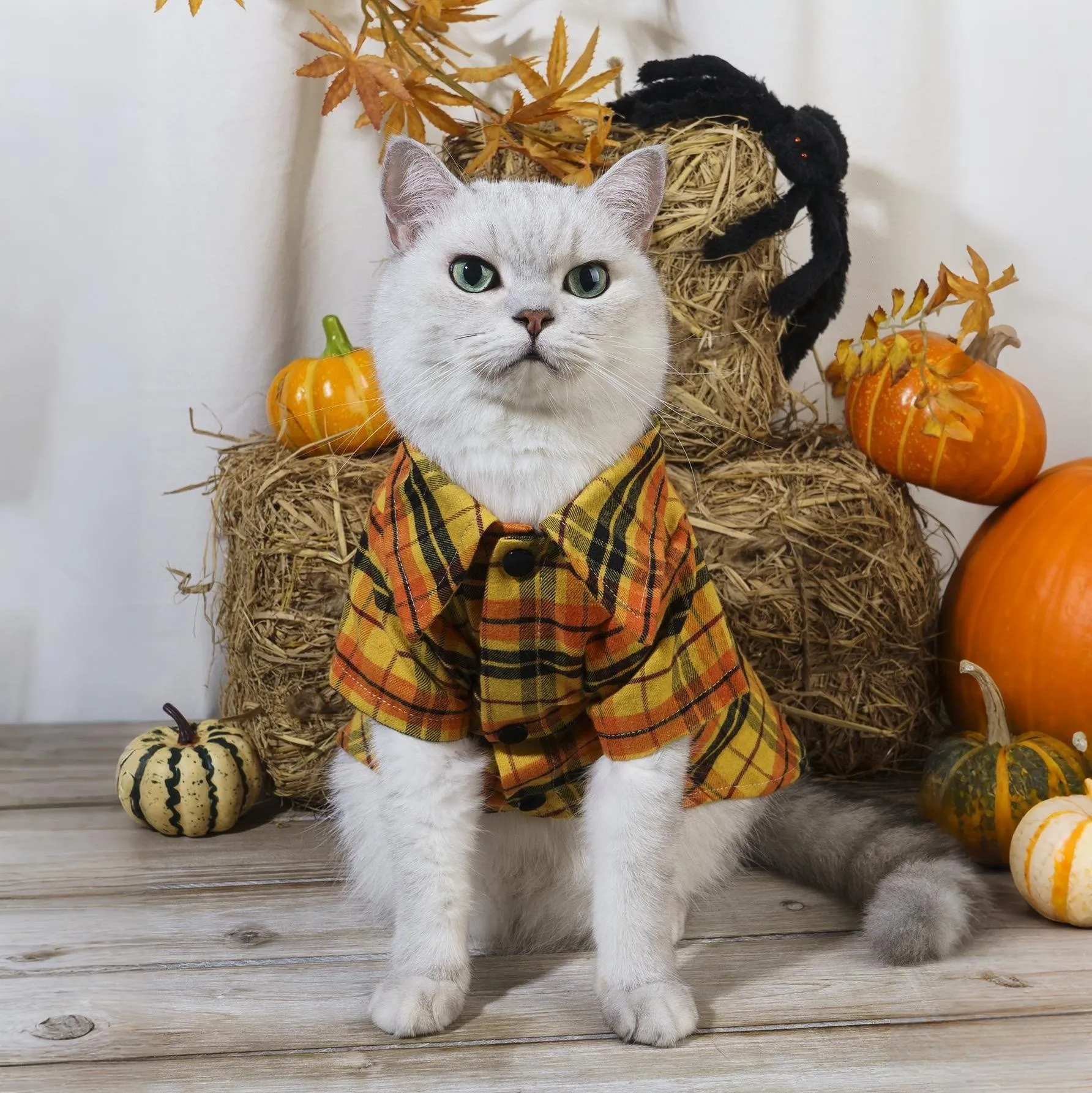 Ropa para mascotas, camisas de Halloween, ropa para perros y gatos, vestido de vacaciones, divertido patrón a cuadros, pecho abierto, fácil de usar y quitar - imagen 2