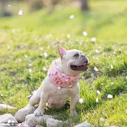 Bufanda refrescante para perros – Previene golpe de calor en verano