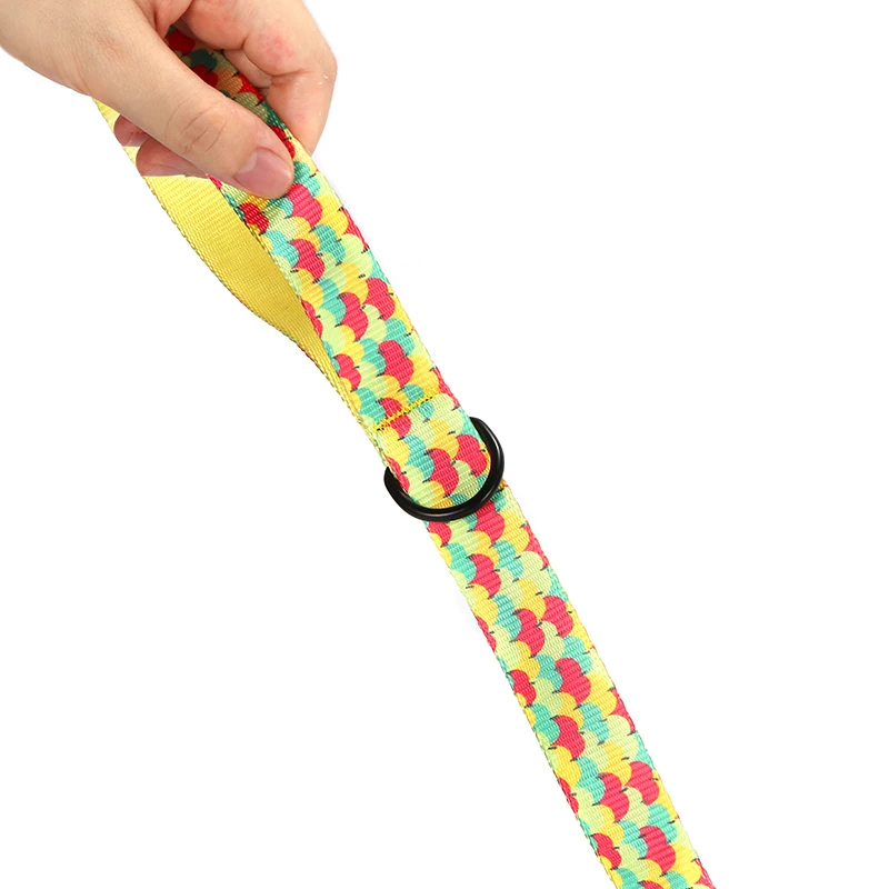 Collar y correa de nailon para perro – 5 tallas disponibles - imagen 4