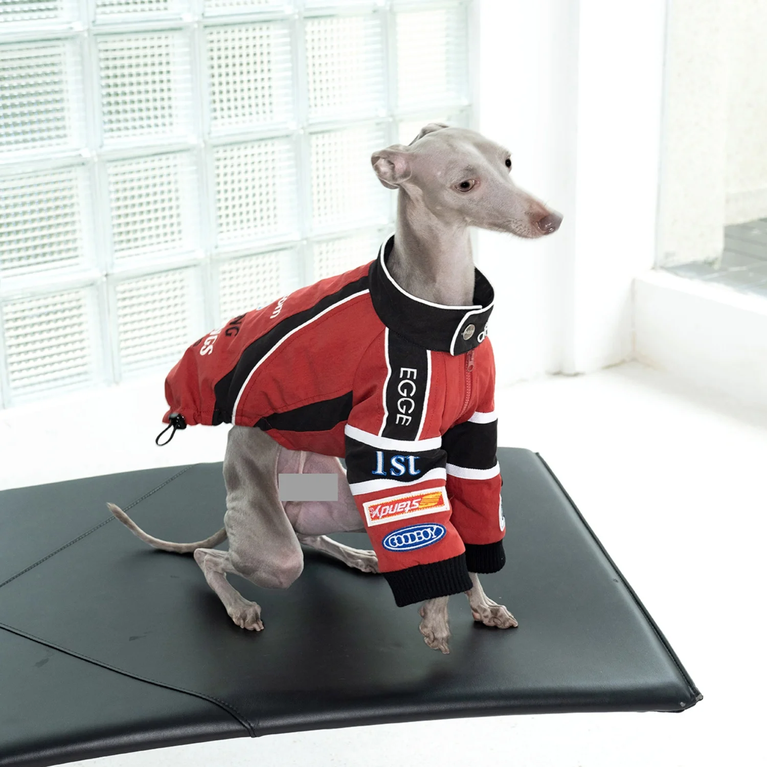 Traje de carreras Retro rojo para perros Chaqueta de algodón bordada de primera calidad para Whippet en otoño invierno abrigo cálido de motocicleta para galgos