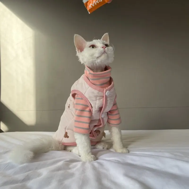 Chaqueta de algodón sin mangas cálida para gatos Sphynx y Devon Rex - imagen 4