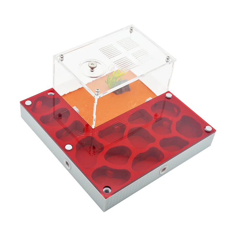 3D Acryl Ant Farm Ecological Flat Ant Nest with Feeding Area Gypsum Ant House Pet Anthill Workshop Moisturizing Water Pool New - imagen 4