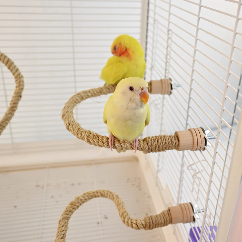 Cuerda de escalada para aves: entretenimiento de loros domésticos - imagen 3