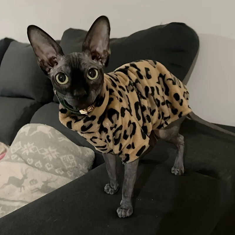 Ropa para gatos Sphynx, ropa para gatos, moda de invierno, ropa suave y cálida para gatos, ropa cómoda y gruesa sin pelo para gatos y gatitos