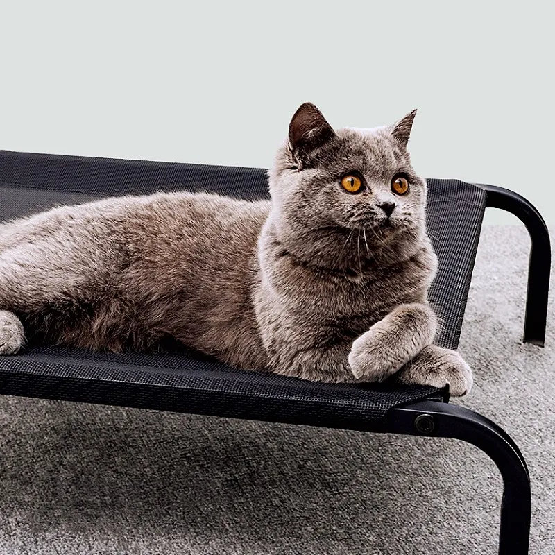 Camas para perros, cama antihidratante para perros, camas para perros de verano para interiores, cama de Camping con marco de hierro para perros, esteras para perrera de viaje, productos para mascotas - imagen 4