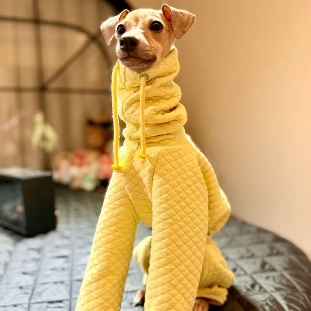 Ropa de invierno para perros: sudadera cálida para galgo italiano - imagen 3