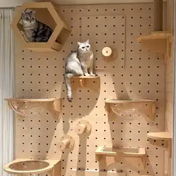 Estantes de pared para gatos – Hamaca, rascador y escalera
