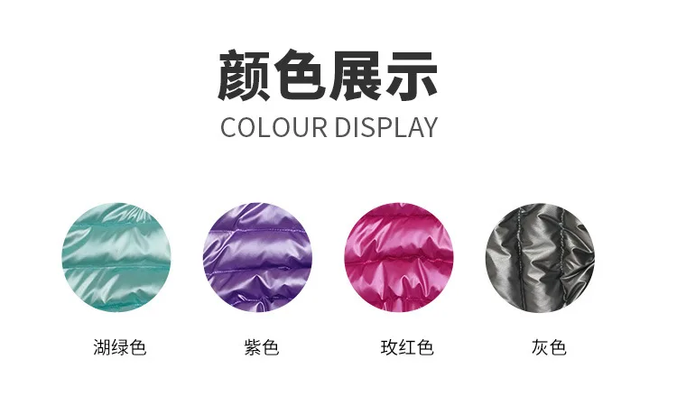 Pet clothing _04.jpg color display picture