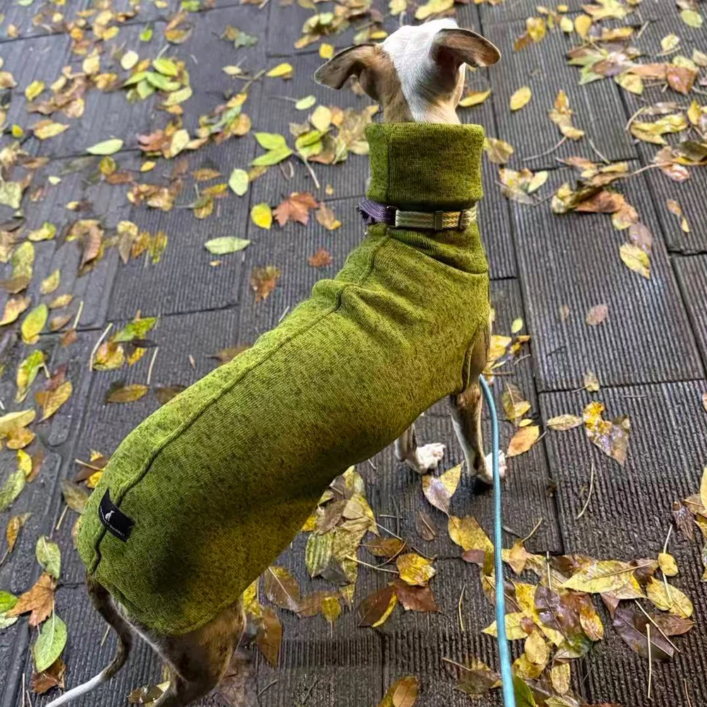 Sudadera gruesa de lana verde para perros Whippet en invierno, abrigo cálido con mangas de 2 patas y cuello alto para la cabeza para galgo italiano