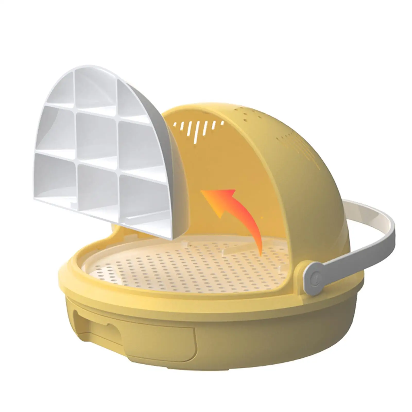 Silkworm Breeding Box Versatile Sturdy Boys Ventilated Holes Learning Feeding Box