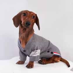 Chaqueta a rayas grises para perro Wiener en invierno, abrigo cálido de manga larga para perros tejón, cárdigan suave, ropa de descanso para perros salchicha