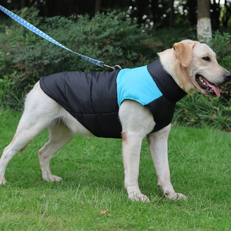 Abrigos cálidos para perros, chaqueta impermeable para mascotas con cremallera, abrigos cálidos acolchados gruesos para mascotas, ropa acolchada para perros pequeños, medianos y grandes - imagen 2
