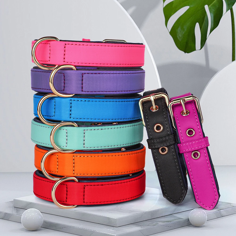 Collar impermeable para perros, collares acolchados suaves para perros, collares duraderos de nailon para mascotas, collar de Bulldog Pitubull, collares para perros pequeños, medianos y grandes - imagen 2