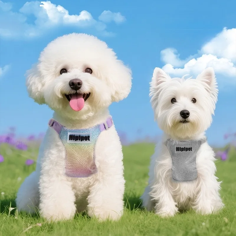 Conjunto de arnés de chaleco para perro, correa para el pecho a prueba de Escape para cachorros, arnés para perros de raza pequeña, suministros para caminar al aire libre