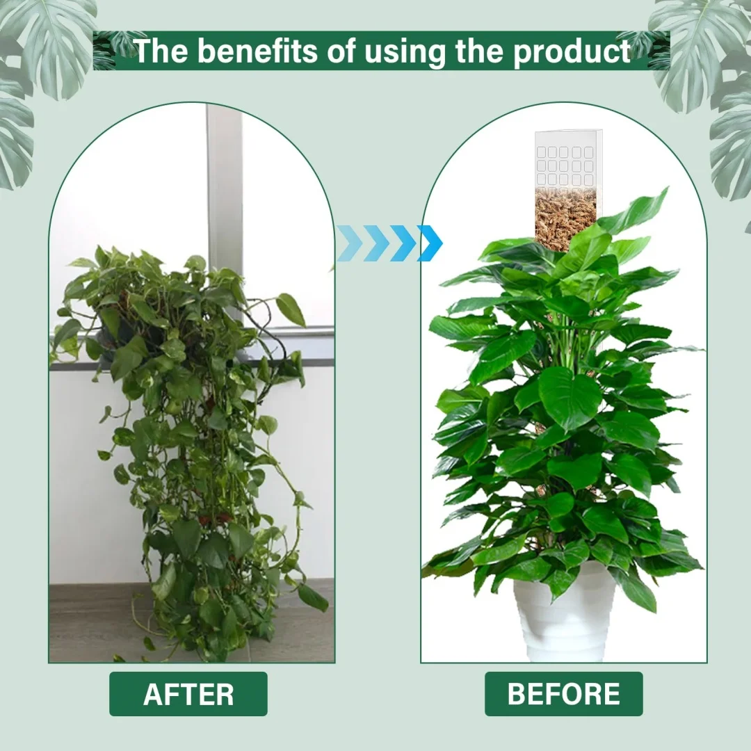 Columna de musgo de agua para plantas trepadoras, poste de musgo para interiores, poste de plástico para soporte de esfagnum, palos para plantas en macetas, Creeper, 2/4/6 Uds. - imagen 5