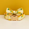 Bow Collar01