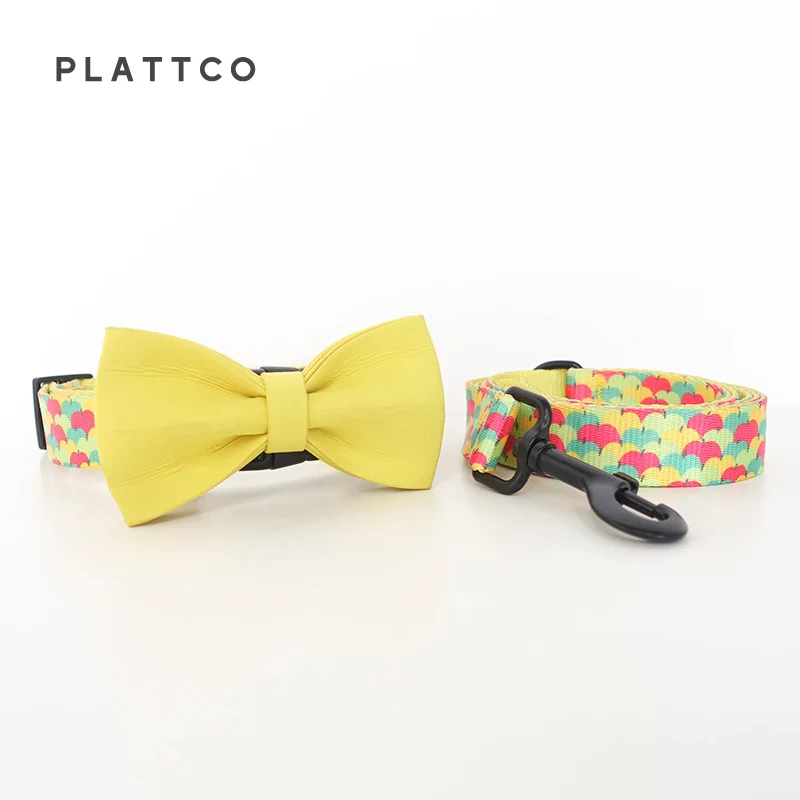 Bow Tie Collar Leash
