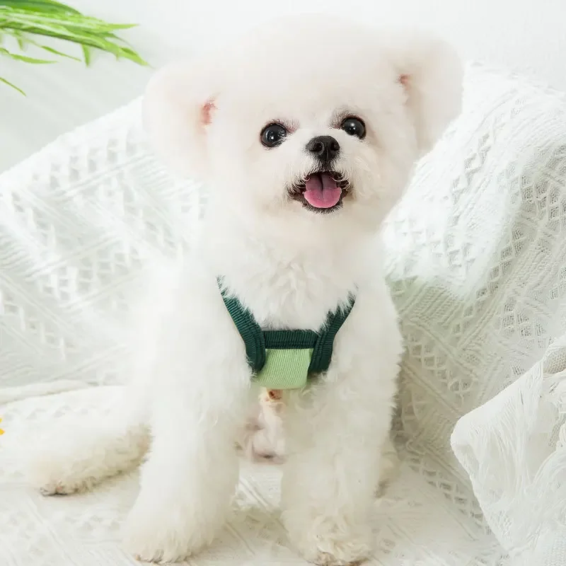 Tirantes de verano para mascotas, chaleco de aguacate para perros y gatos, camiseta con estampado de frutas para cachorros y gatitos, ropa de peluche, abrigo de protección solar, ropa para mascotas - imagen 3