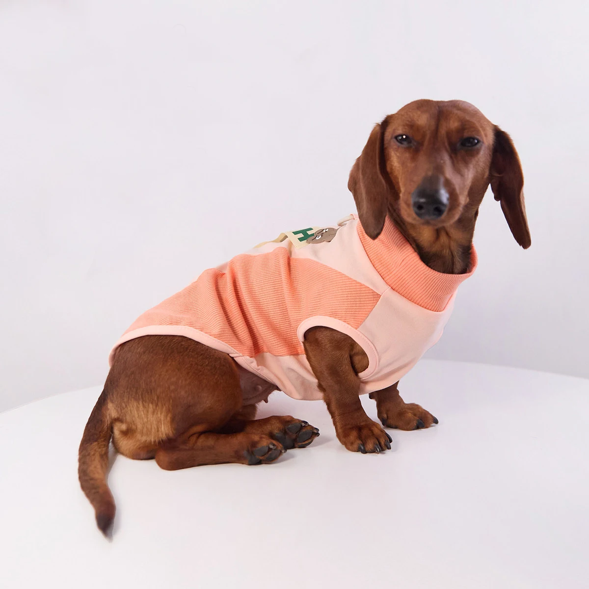 Camiseta elástica para perro salchicha fresca y transpirable en verano - imagen 3