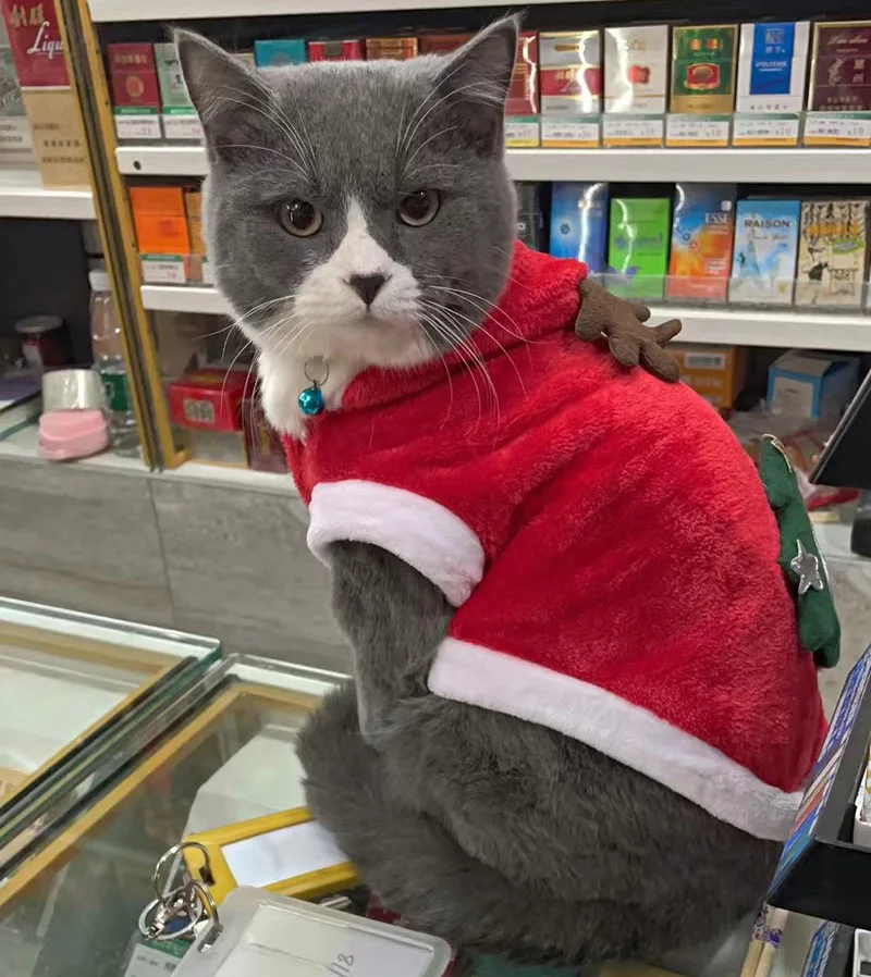 Disfraz navideño para cachorros y gatos, ropa para mascotas de otoño e invierno para perros pequeños, gatos, forro polar cálido, regalos de Año Nuevo, ropa de Cosplay - imagen 5