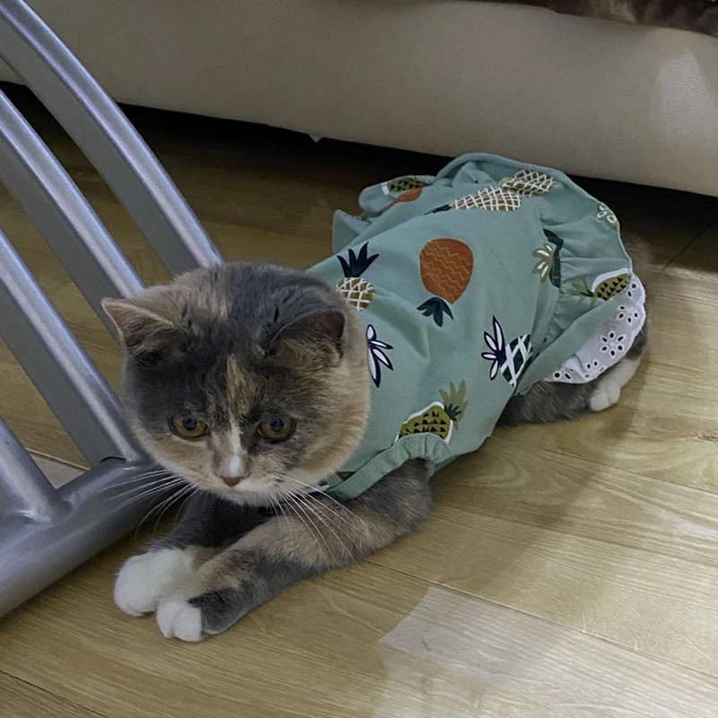 Vestido de algodón de verano para gatos, falda con estampado de cereza y piña, ropa para mascotas, vestidos para gatos, perro Sphynx, kedi elbisesi, ropa para gatos - imagen 4
