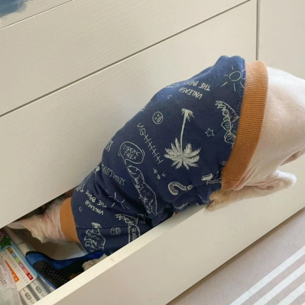 Sphynx Cat Clothing Dinosaurio Abrigo de algodón para gatos machos en otoño Sudadera de dibujos animados para gatitos Disfraces de perros pequeños Suministros para mascotas