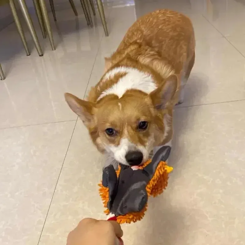 Juguete de peluche con sonido para perros y gatos - interactivo - imagen 5