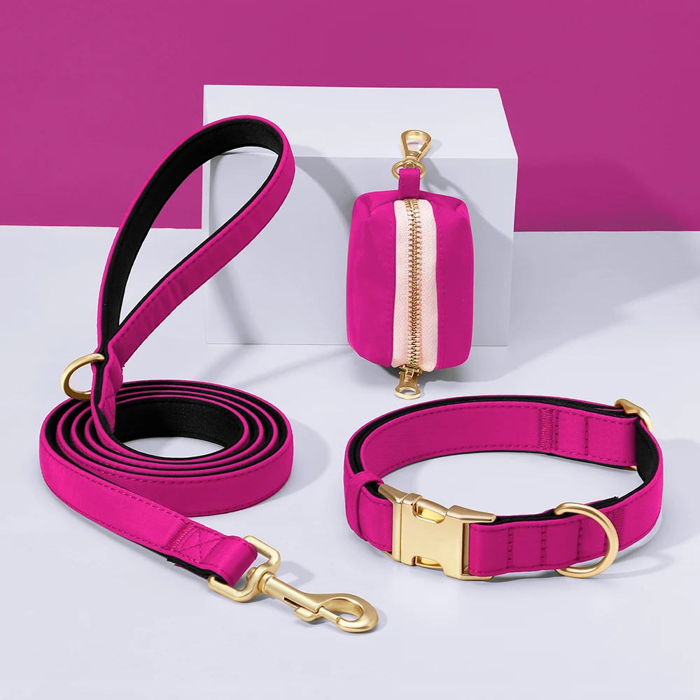 Collar impermeable para perro con correa y bolsa de paseo - imagen 4